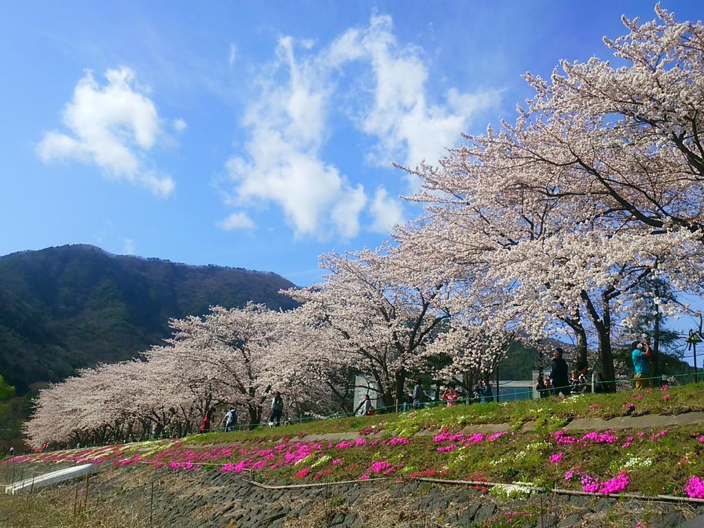 Lakeland Hotel Mizunosato Фудзі-Каваґутіко Екстер'єр фото